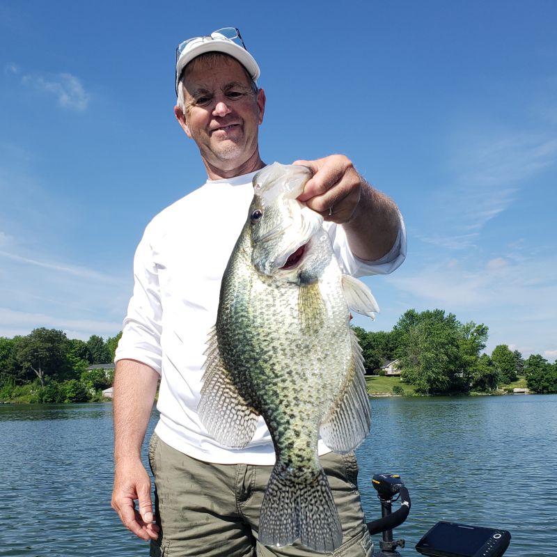 18.5