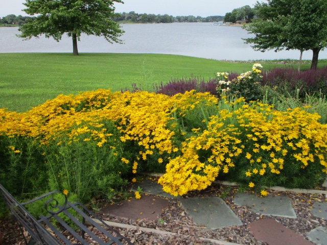 LSL CLubhouse flowers
