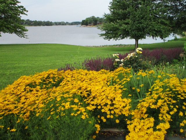 LSL CLubhouse flowers