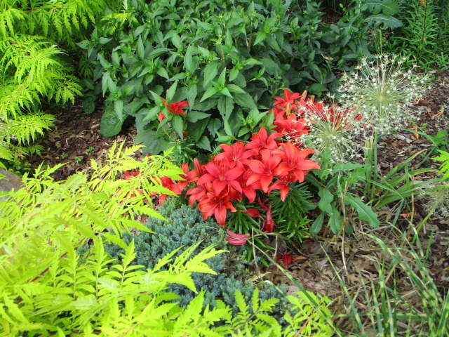 LSL CLubhouse flowers