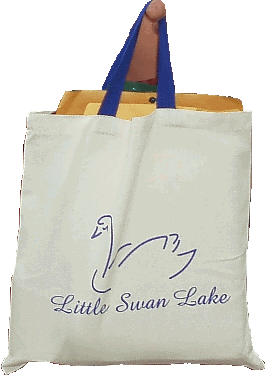 LSLBag